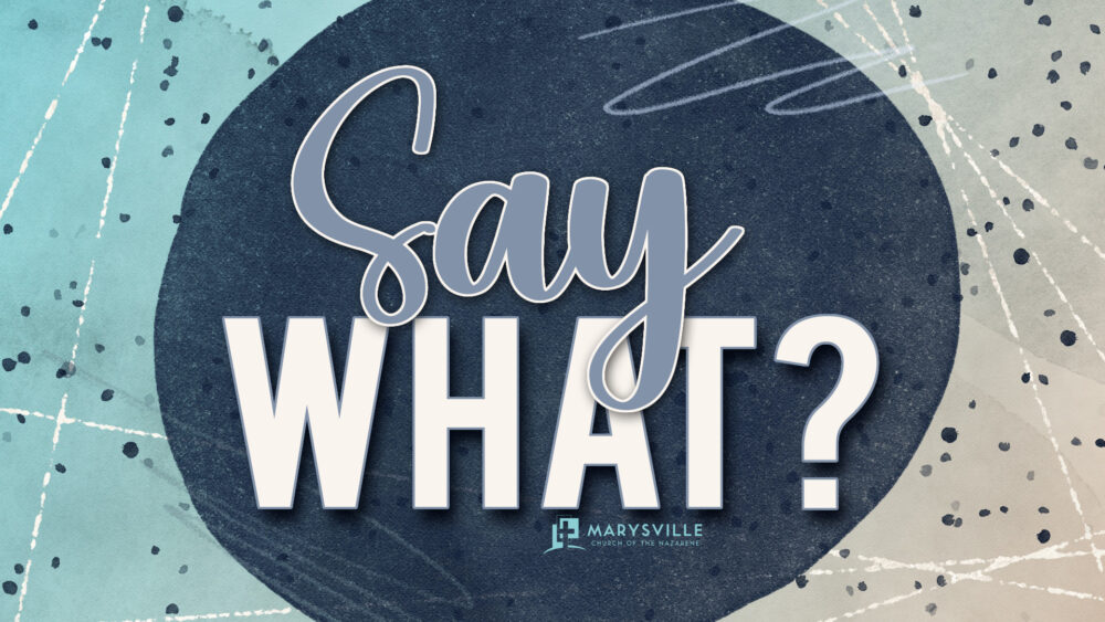 Say What? Image