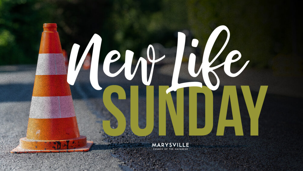 New Life Sunday Image